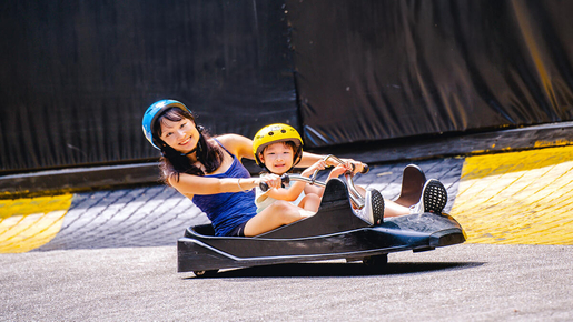 Skyline Luge & Skyride Singapore Ticket