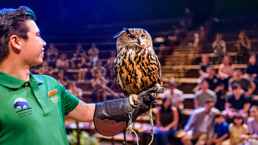 Singapore Night Safari Ticket