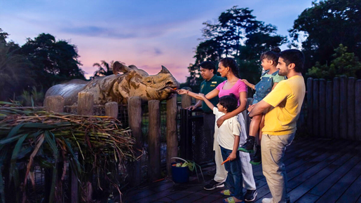 Singapore Night Safari Ticket
