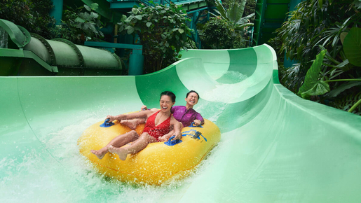 Adventure Cove Waterpark Ticket