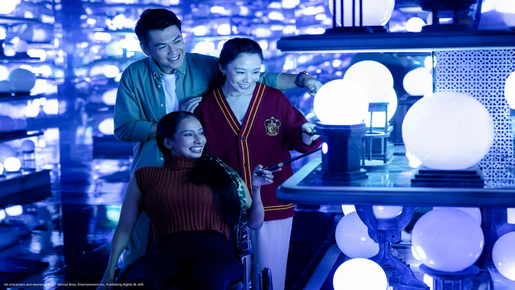 Harry Potter Visions of Magic Ticket