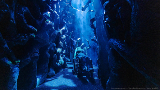 Harry Potter Visions of Magic Ticket