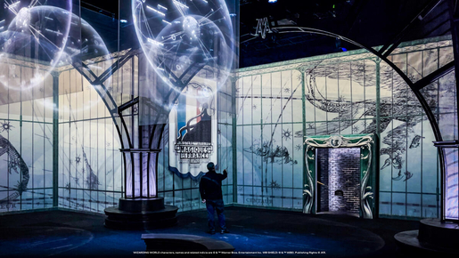 Harry Potter Visions of Magic Ticket