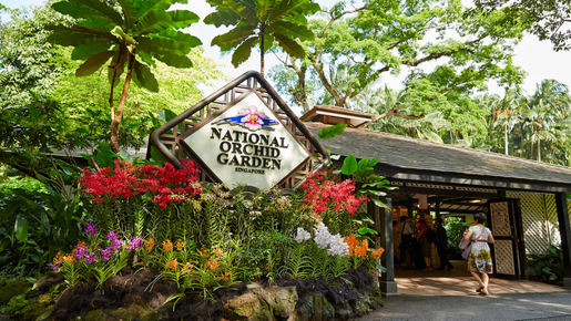 National Orchid Garden Ticket