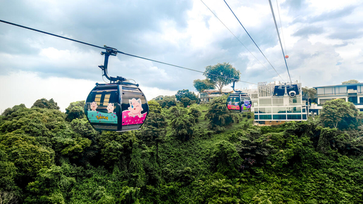 Cable Car Round Trip