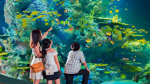 Singapore Oceanarium Ticket