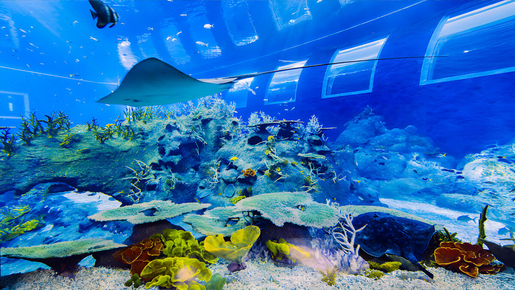 Singapore Oceanarium Ticket