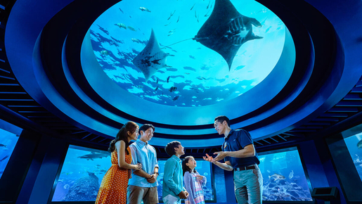 Singapore Oceanarium Ticket
