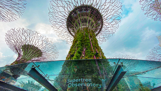 Gardens By The Bay Ticket