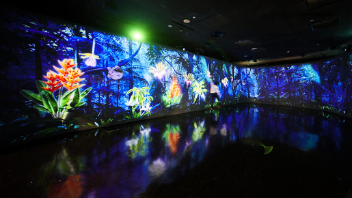 Gardens By The Bay Ticket