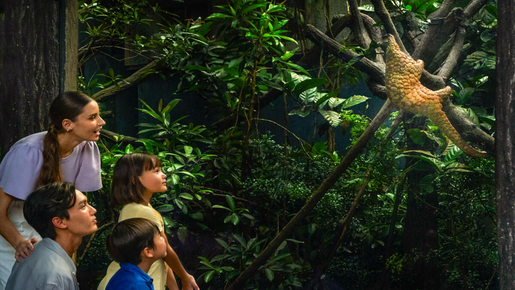 Singapore Night Safari Ticket