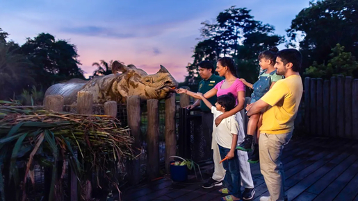 Singapore Night Safari Ticket