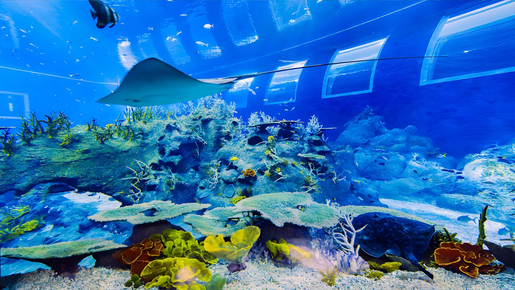 Singapore Oceanarium Ticket