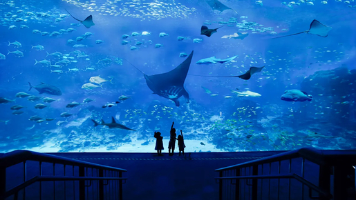 Singapore Oceanarium Ticket