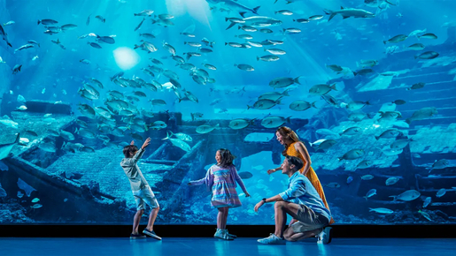 Singapore Oceanarium Ticket
