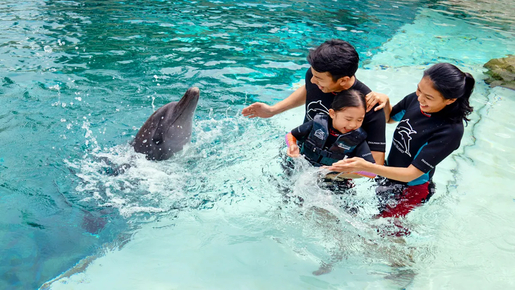 Singapore Oceanarium Ticket