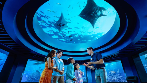 Singapore Oceanarium Ticket