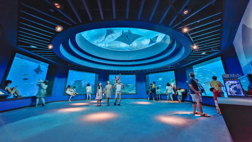 Singapore Oceanarium Ticket