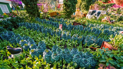 Gardens By The Bay Ticket