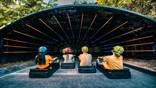 Skyline Luge & Skyride Singapore Ticket