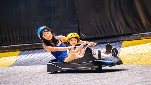 Skyline Luge & Skyride Singapore Ticket