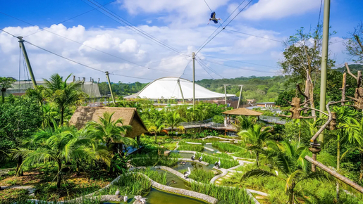 Bird Paradise Ticket