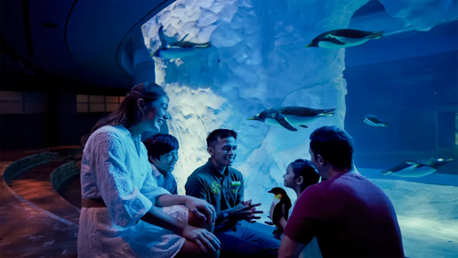 Bird Paradise Ticket