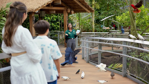 Bird Paradise Ticket