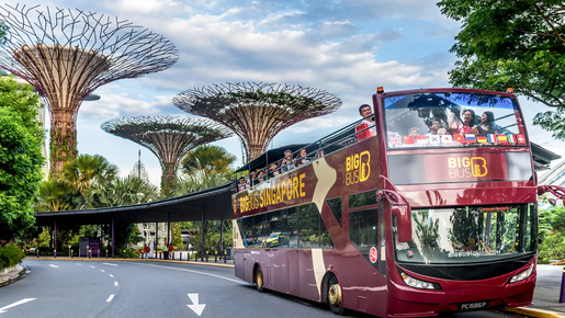 1-Day Hop-On Hop-Off Bus