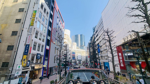 1-Day Hop-On Hop-Off Bus