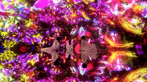 teamLab Planets Ticket