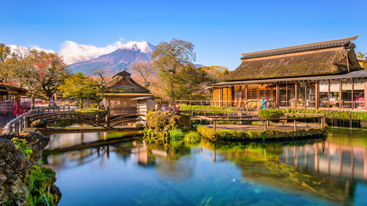 Mount Fuji Highlights Tour