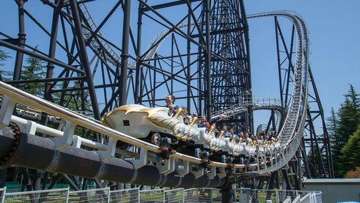 Fuji-Q Highland Ticket