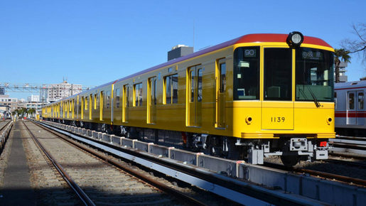 72-Hour Free Public Transportation