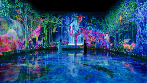 teamLab Planets Ticket