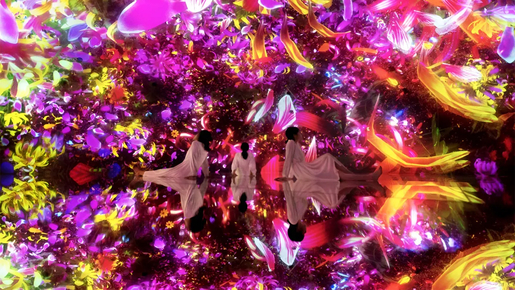 teamLab Planets Ticket