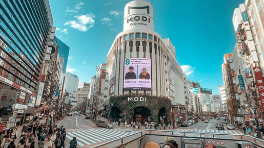 1-Day Hop-On Hop-Off Bus