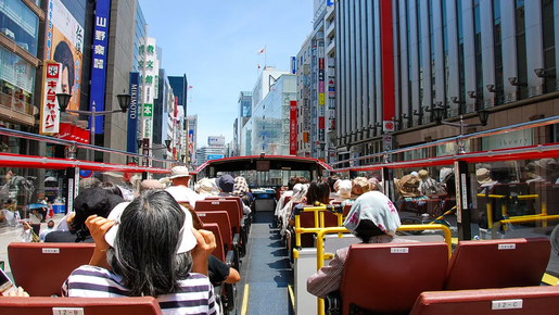 1-Day Hop-On Hop-Off Bus