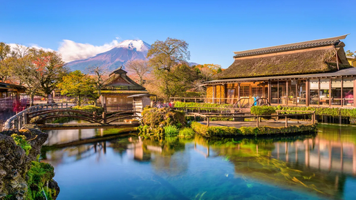 Mount Fuji Highlights Tour