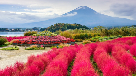 Mount Fuji Highlights Tour