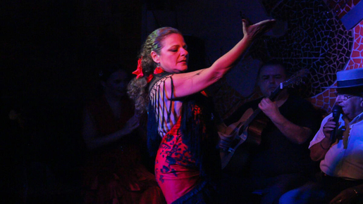 Flamenco Show