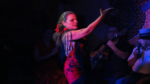 Flamenco Show