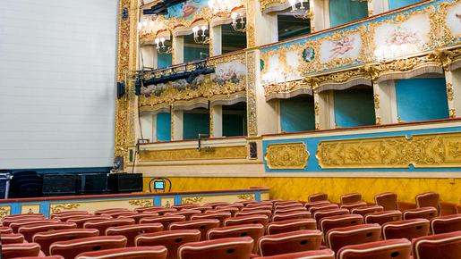 Teatro La Fenice Ticket with Audio Guide
