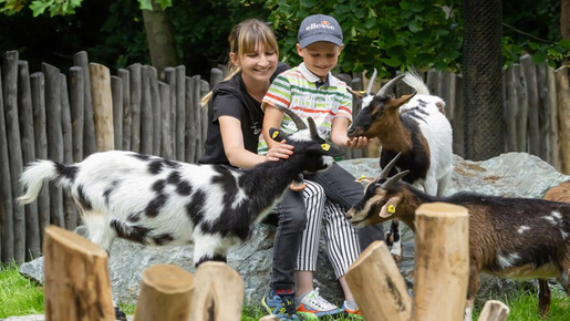 Schönbrunn Zoo Ticket