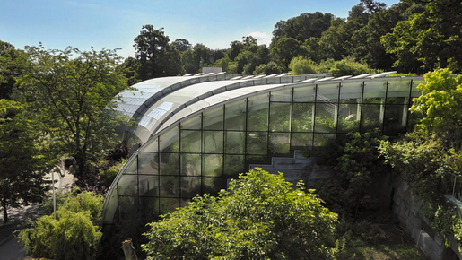 Schönbrunn Zoo Ticket