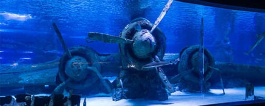 Antalya Aquarium