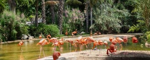 Barcelona Zoo