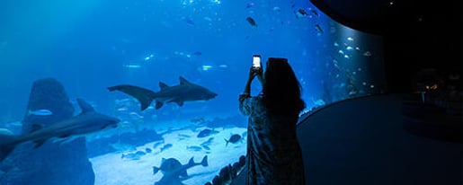 Family-friendly Activities