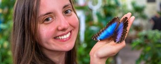 Dubai Butterfly Garden