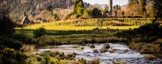 From Dublin: Glendalough, Wicklow & Kilkenny with Sheepdog Trails
